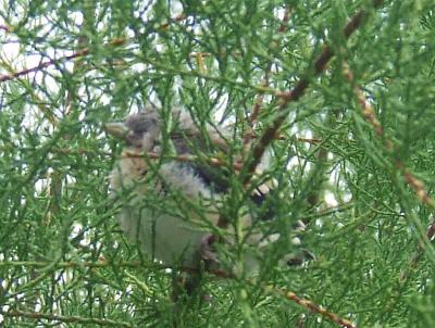 Прикрепленное изображение: b6.jpg